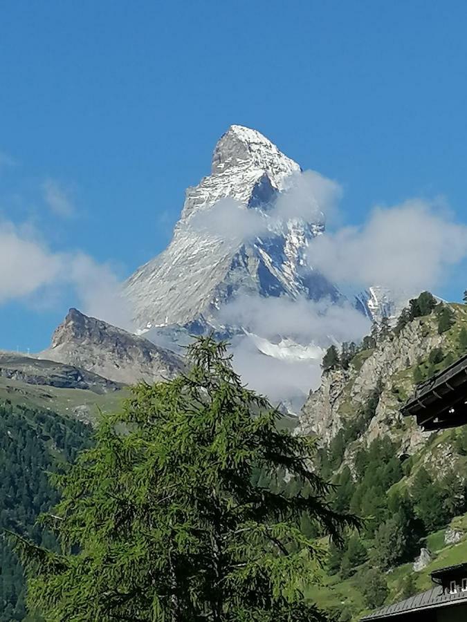Petit Helvetia Budget Hotel Zermatt Kültér fotó